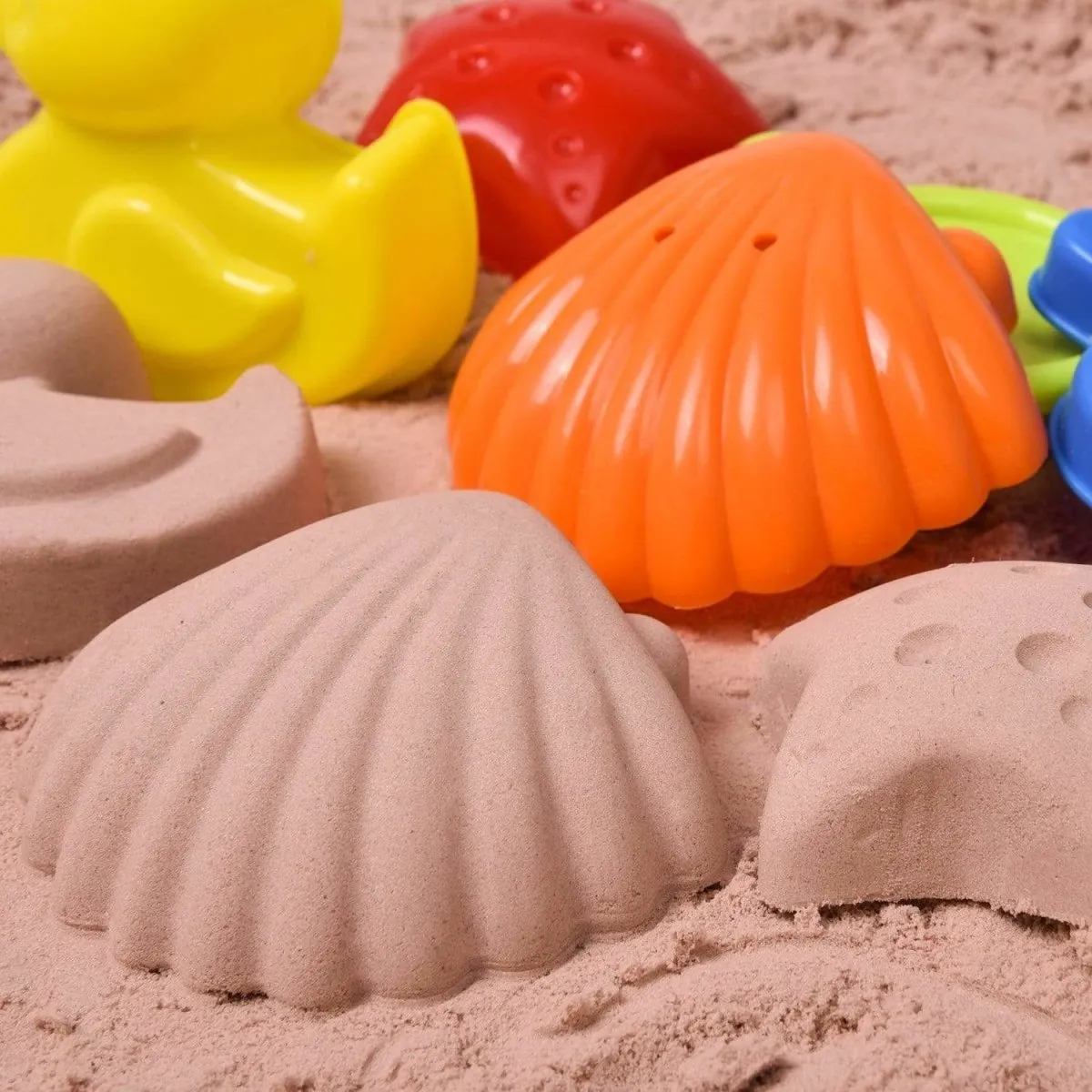 19 Pcs Sea Animal Beach & Sand Toys for Kids