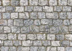 Cobblestone Floor-rf