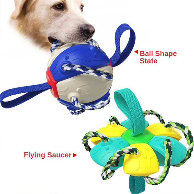 Foldable Soccer Ball Interactive Dog Toy