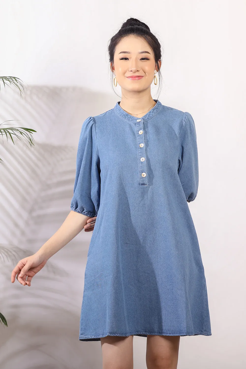 Kellan Denim Dress in Light Wash