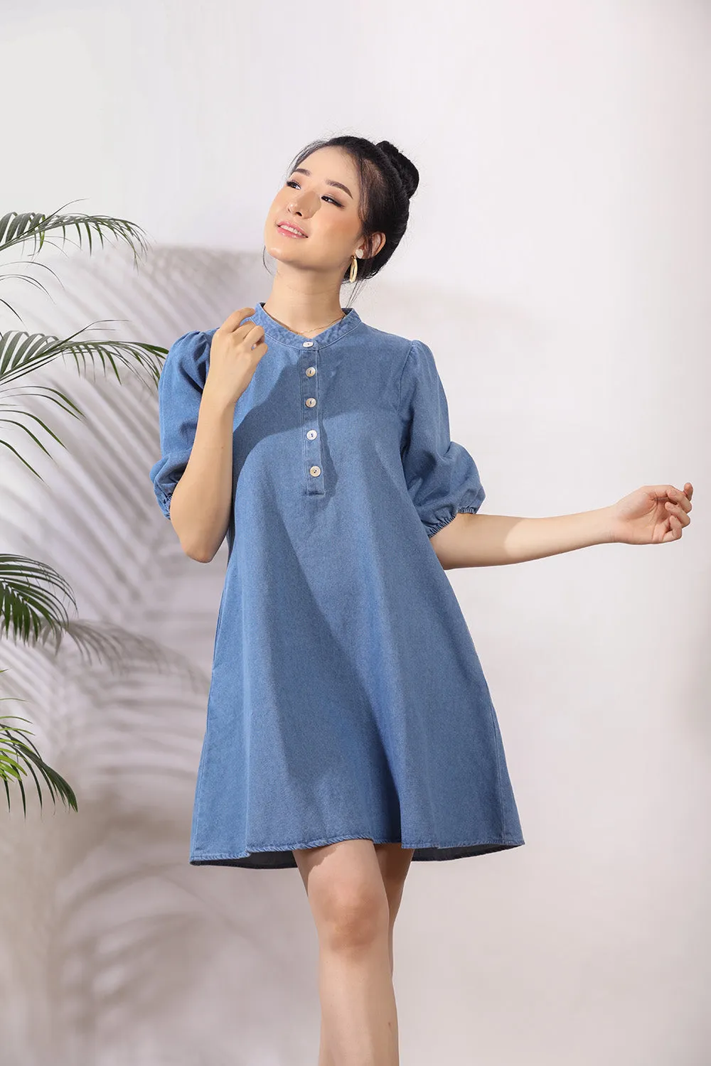 Kellan Denim Dress in Light Wash