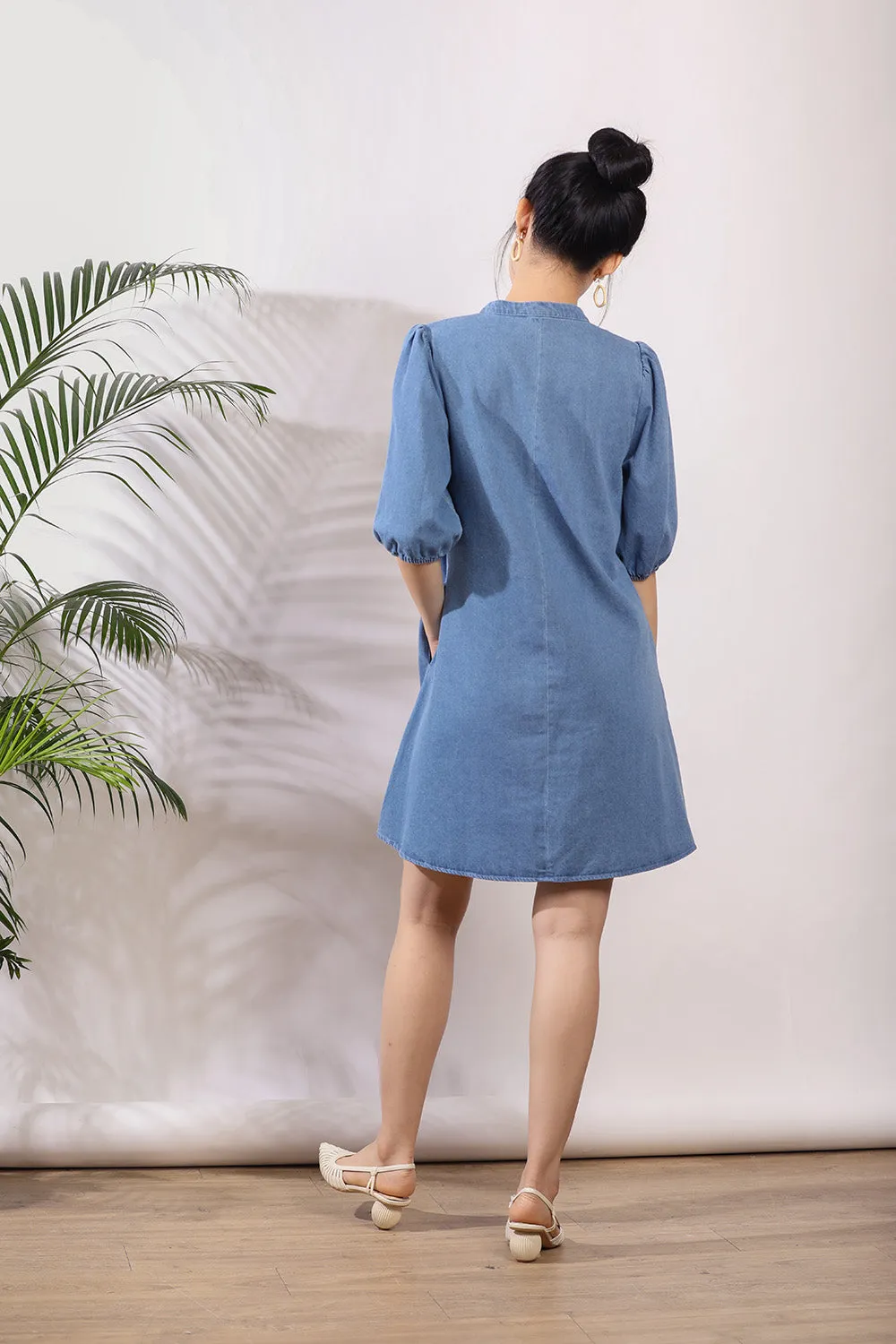 Kellan Denim Dress in Light Wash