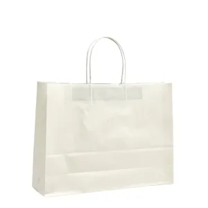 Medium Boutique White Twisted Handle Paper Bag